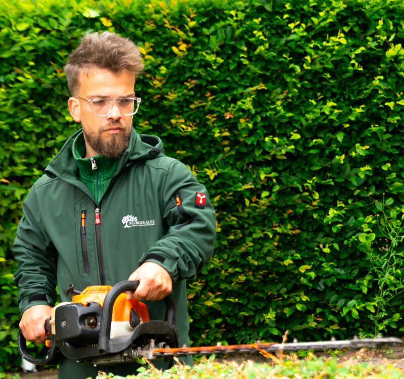 Heckenschnitt und Gartenpflege