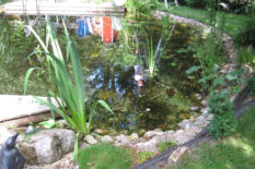 wasser_im_garten_05